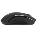 Targus mouse inalambrico W575 -AMW575TT