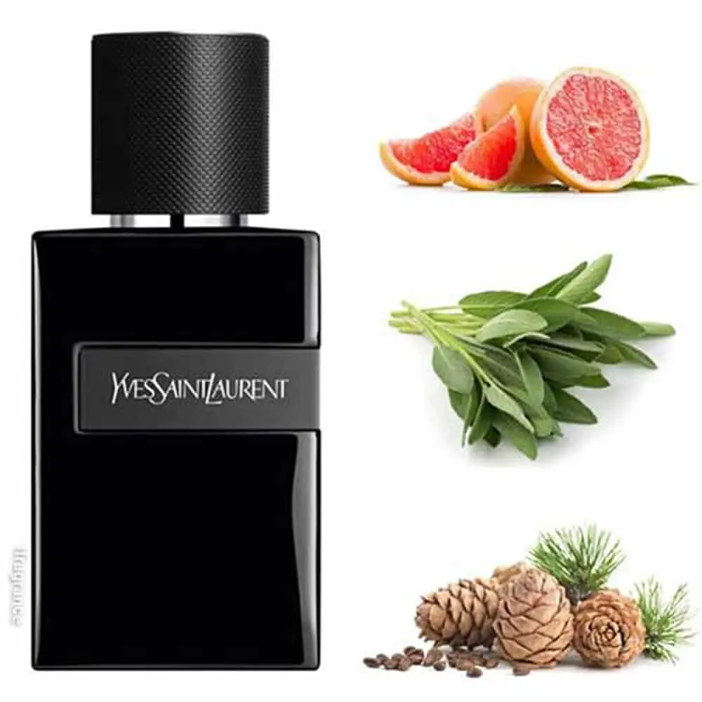 Perfume Y Le Parfum Yves Saint Laurent 100ml