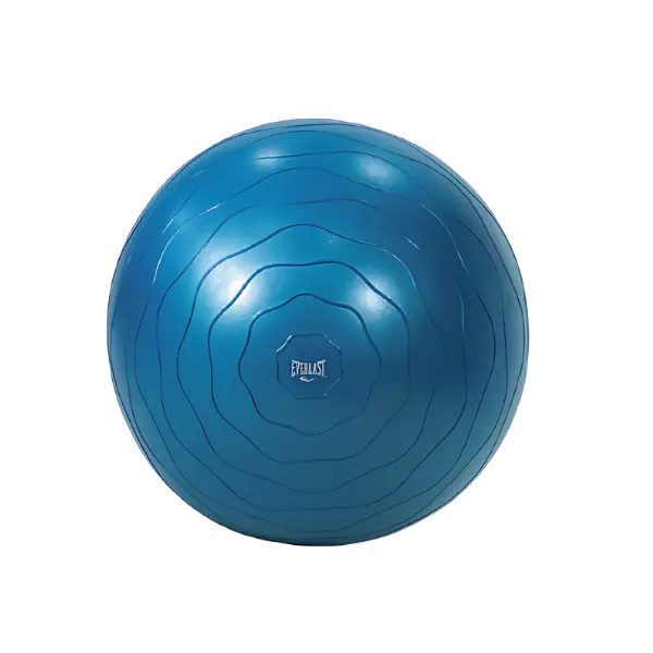 Pelota De Gimnasio Antiexplosión Everlast