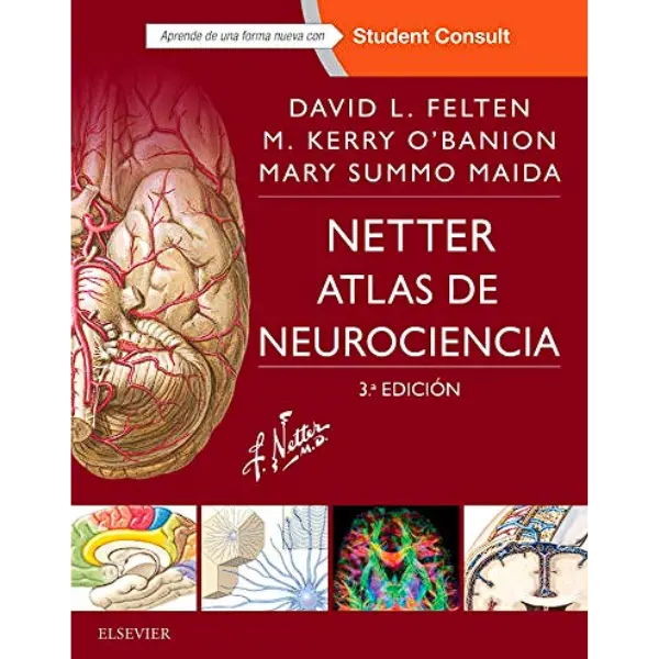 Libro Netter. Atlas de neurociencia 3.ª Edición