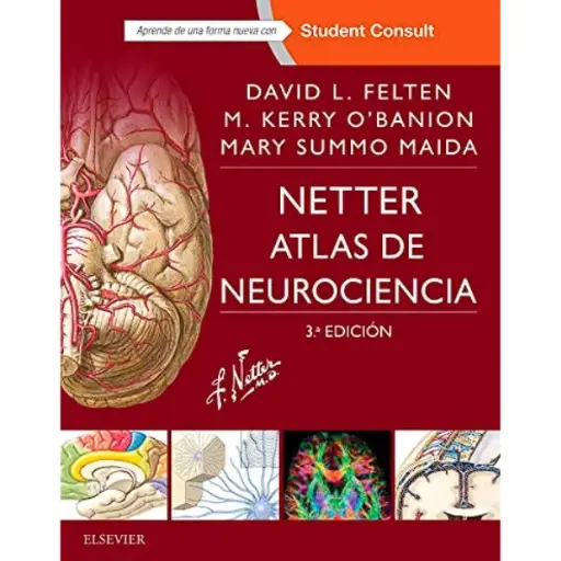 Libro Netter. Atlas de neurociencia 3.ª Edición