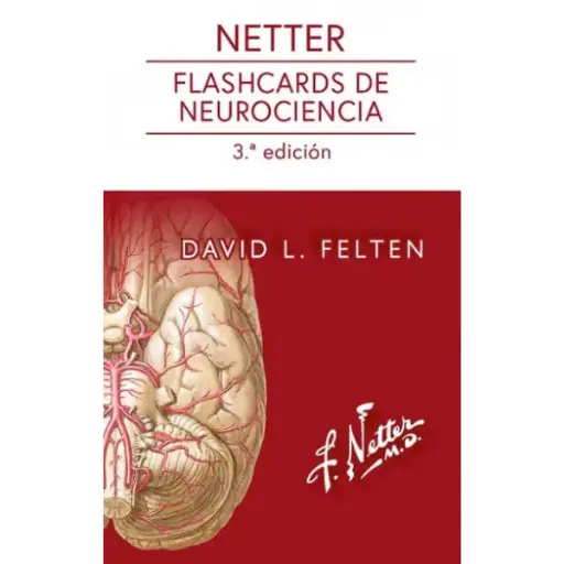 Libro Netter. Flashcards de neurociencia 3.ª Edición